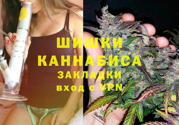 2c-b Белокуриха